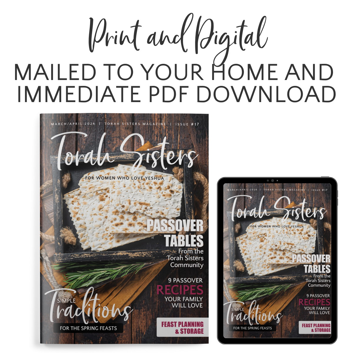 March/April 2024 Issue #17 Torah Sisters Magazine