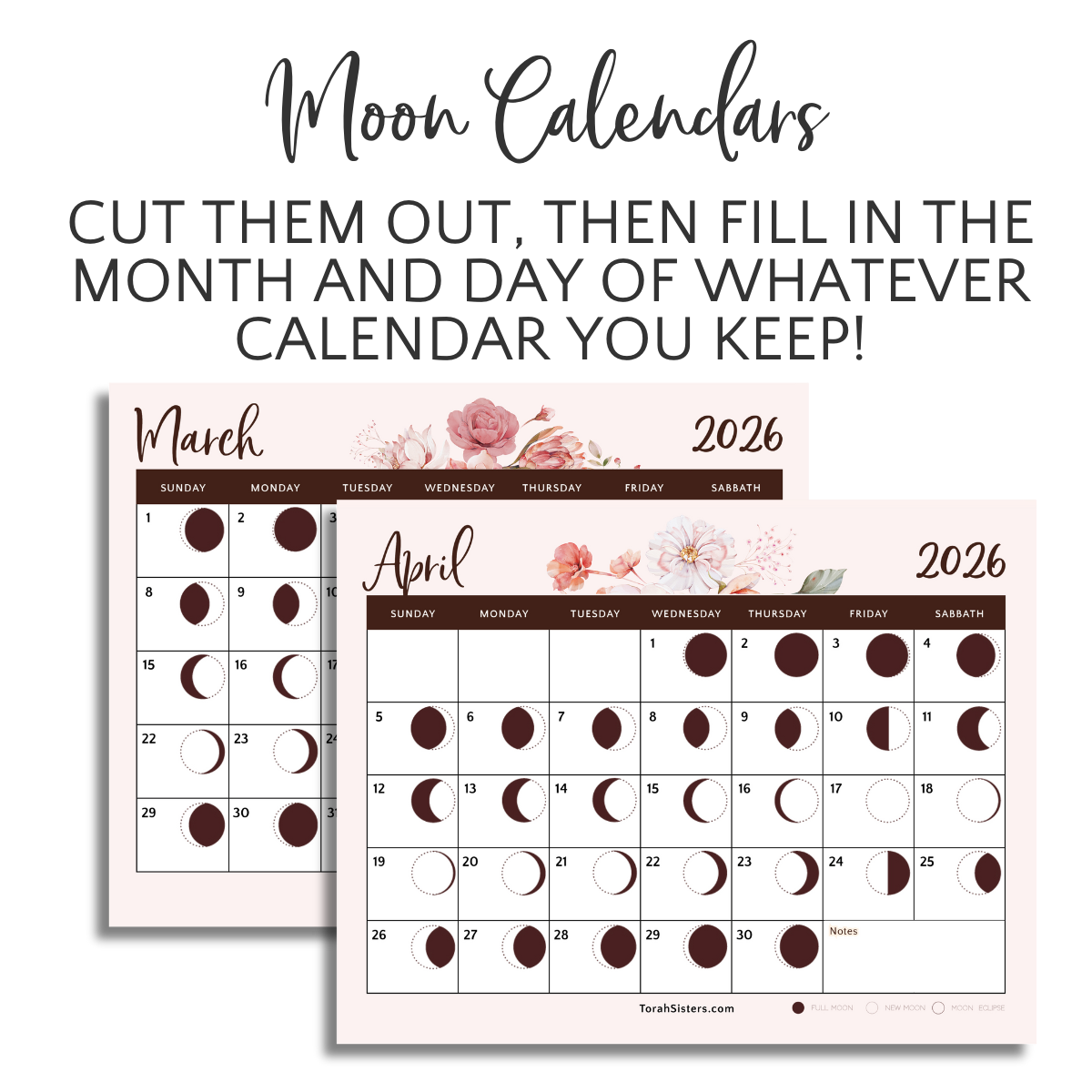 Torah Sisters Print Magazine Subscription