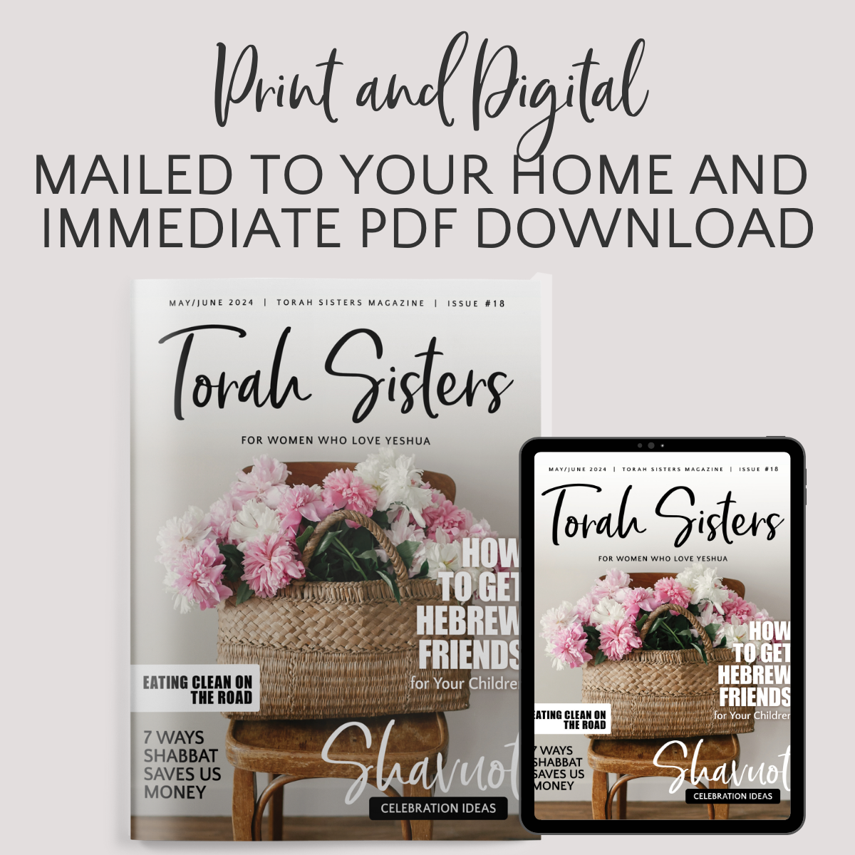May/June 2024 Issue #18 Torah Sisters Magazine