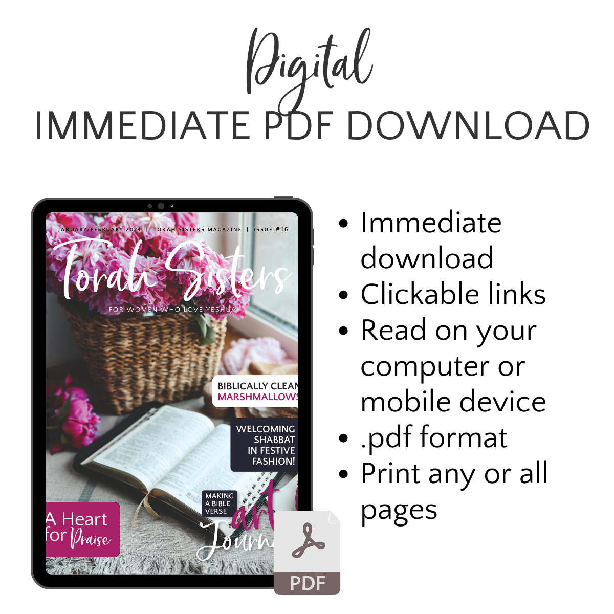 January/February 2024 Issue #16 Torah Sisters Magazine