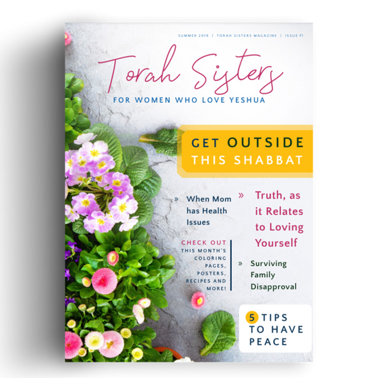Summer 2019 pdf Digital Issue of Torah Sisters Magazine