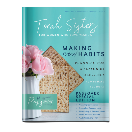 Spring 2019 pdf Digital Issue of Torah Sisters Magazine