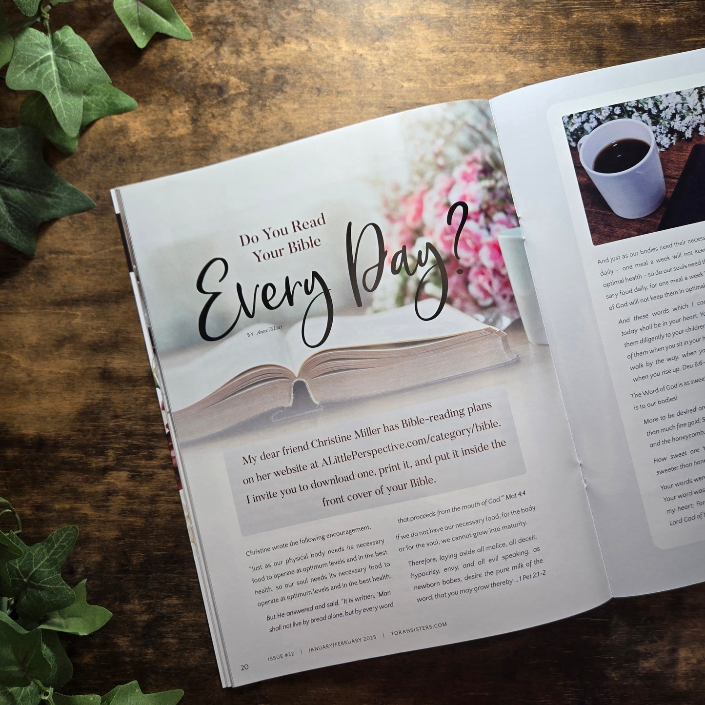 January/February 2025 Issue #22 Torah Sisters Magazine