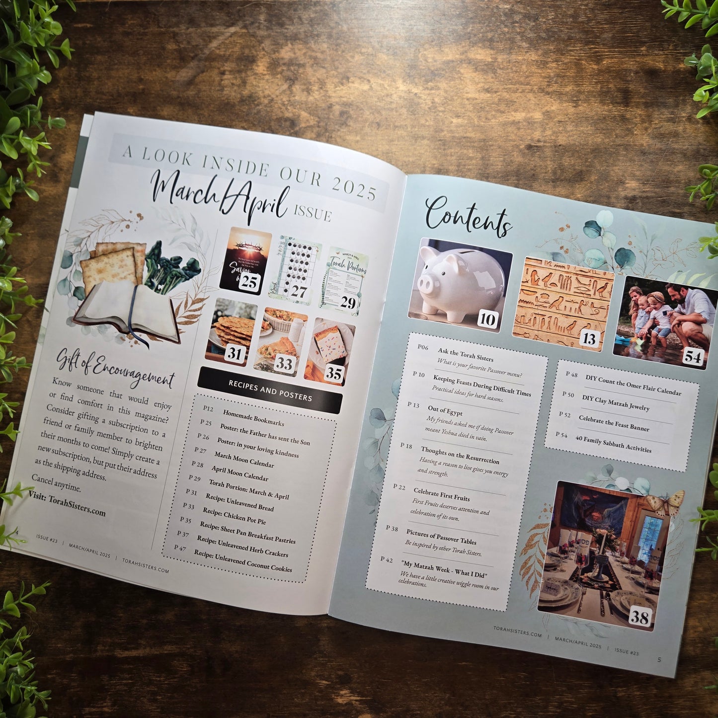 March/April 2025 Issue #23 Torah Sisters Magazine