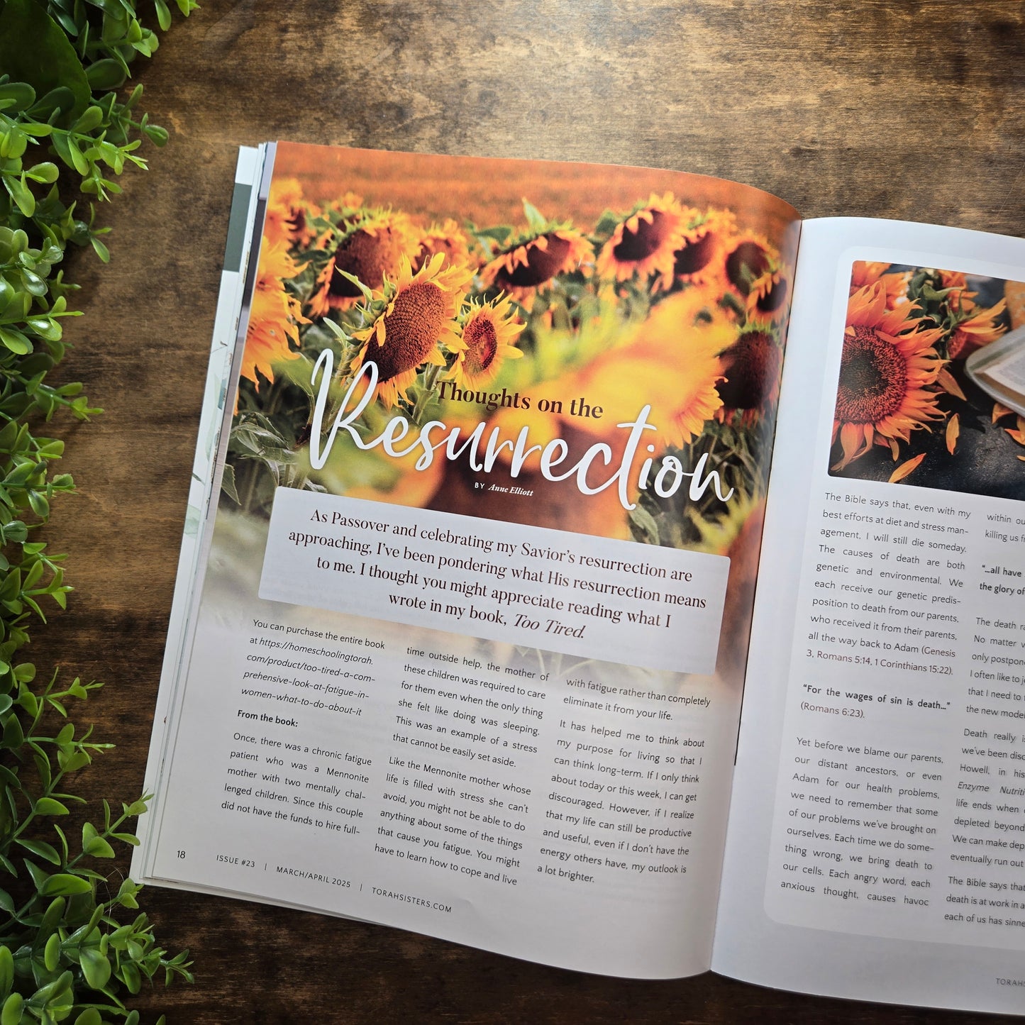 March/April 2025 Issue #23 Torah Sisters Magazine