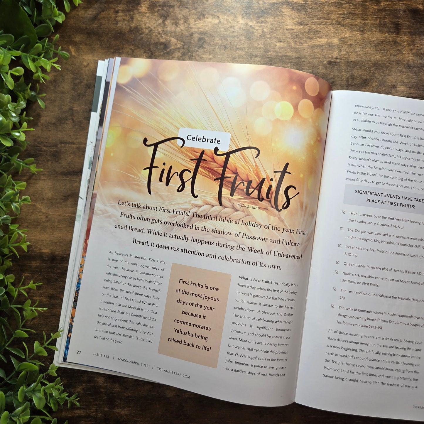 March/April 2025 Issue #23 Torah Sisters Magazine