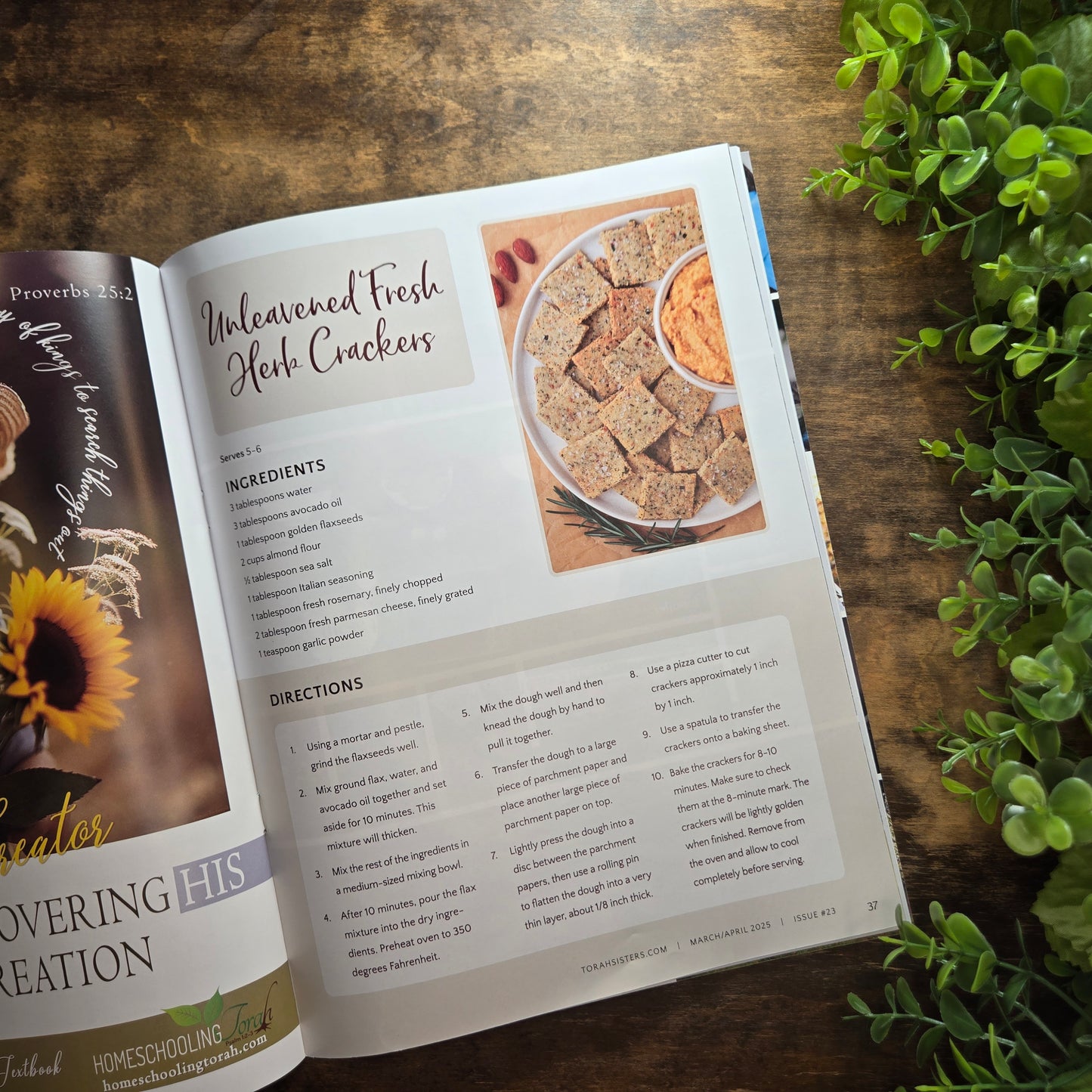 March/April 2025 Issue #23 Torah Sisters Magazine