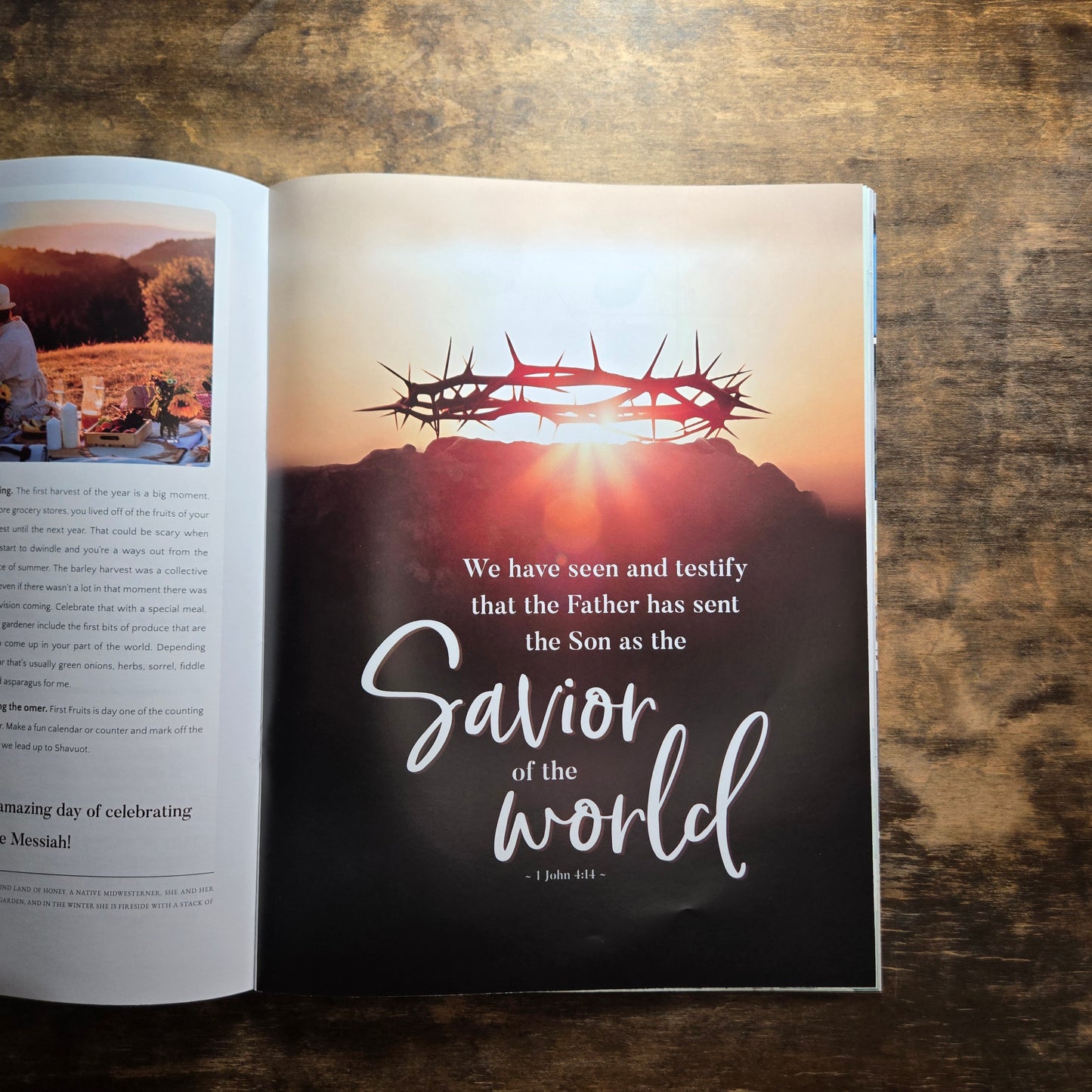 March/April 2025 Issue #23 Torah Sisters Magazine