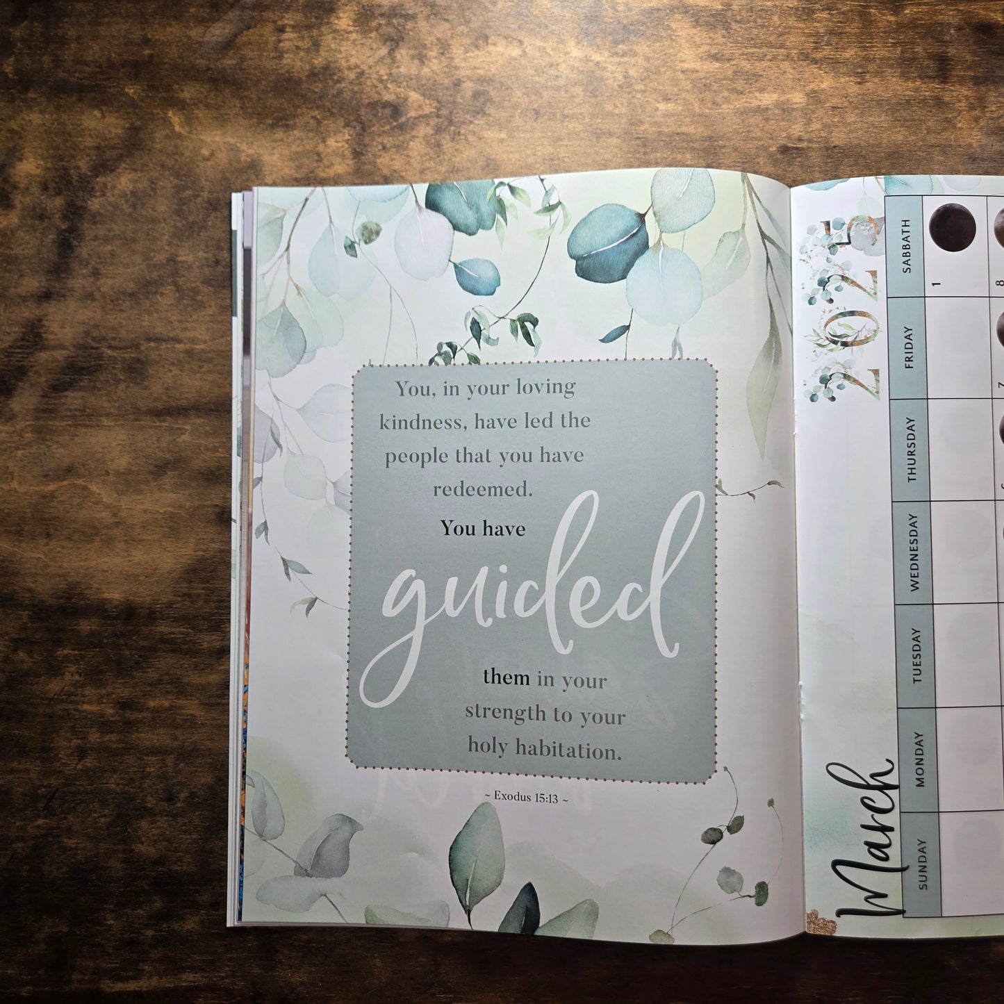 March/April 2025 Issue #23 Torah Sisters Magazine