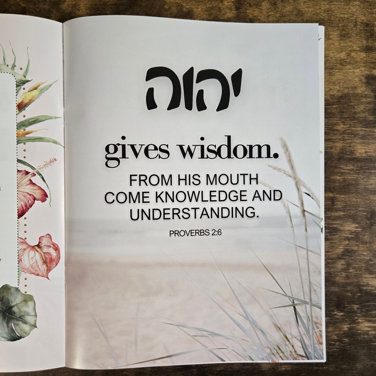 July/August 2025 Issue #25 Torah Sisters Magazine