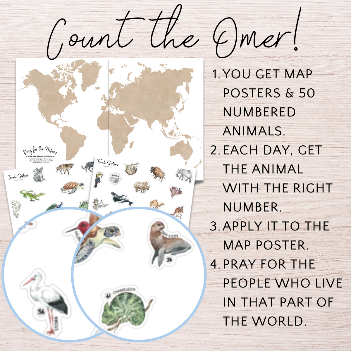Counting the Omer Animals 2025