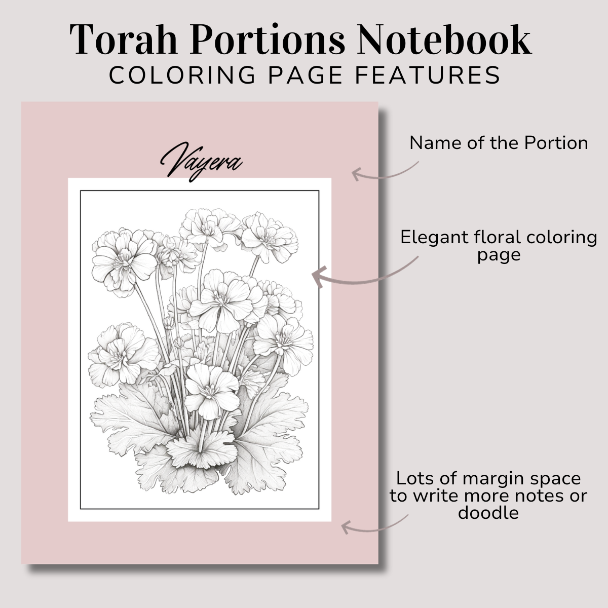 Torah Portions Notebook - Newest Edition, PDF Only