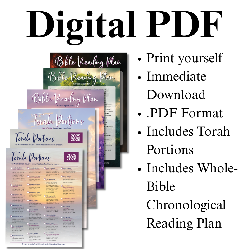 Torah Portions 2025-2026