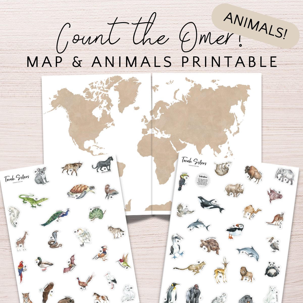 Counting the Omer Animals 2025