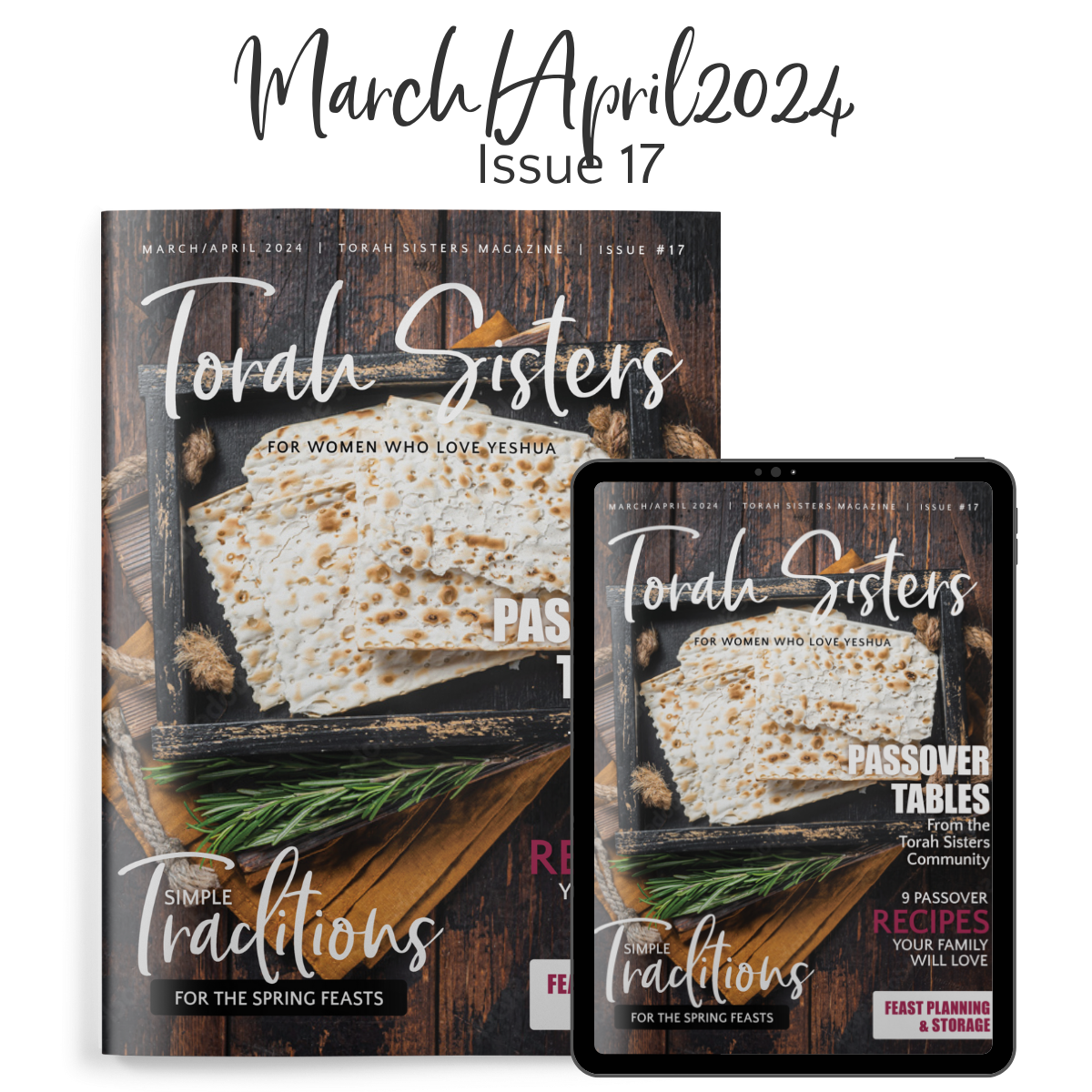 March/April 2024 Issue #17 Torah Sisters Magazine