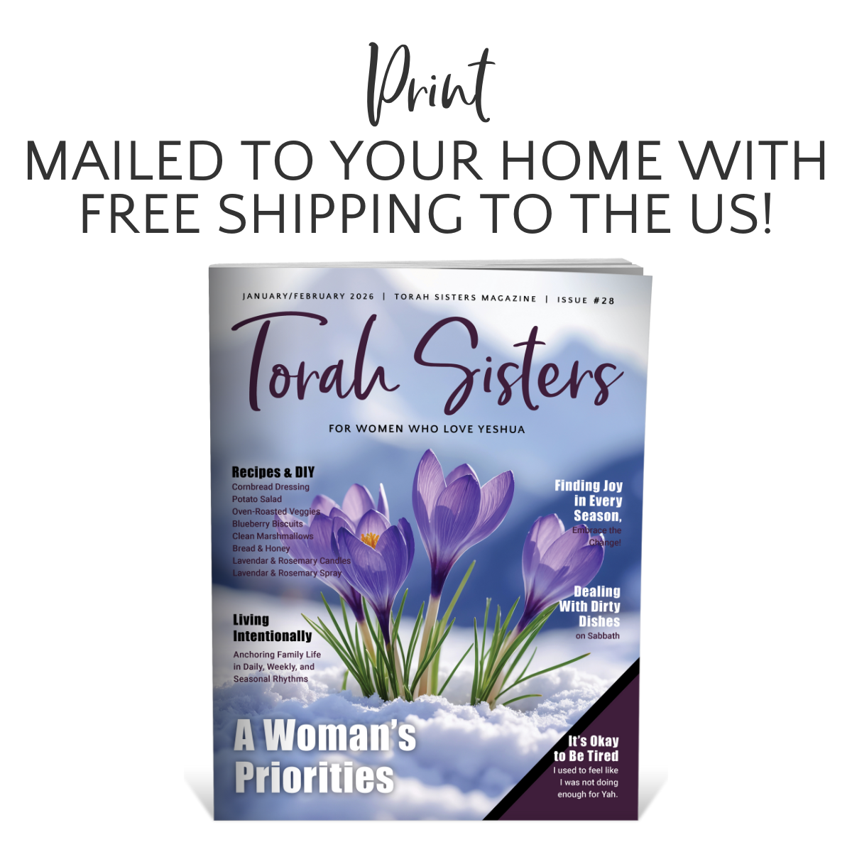 January/February 2026 Issue #28 Torah Sisters Magazine