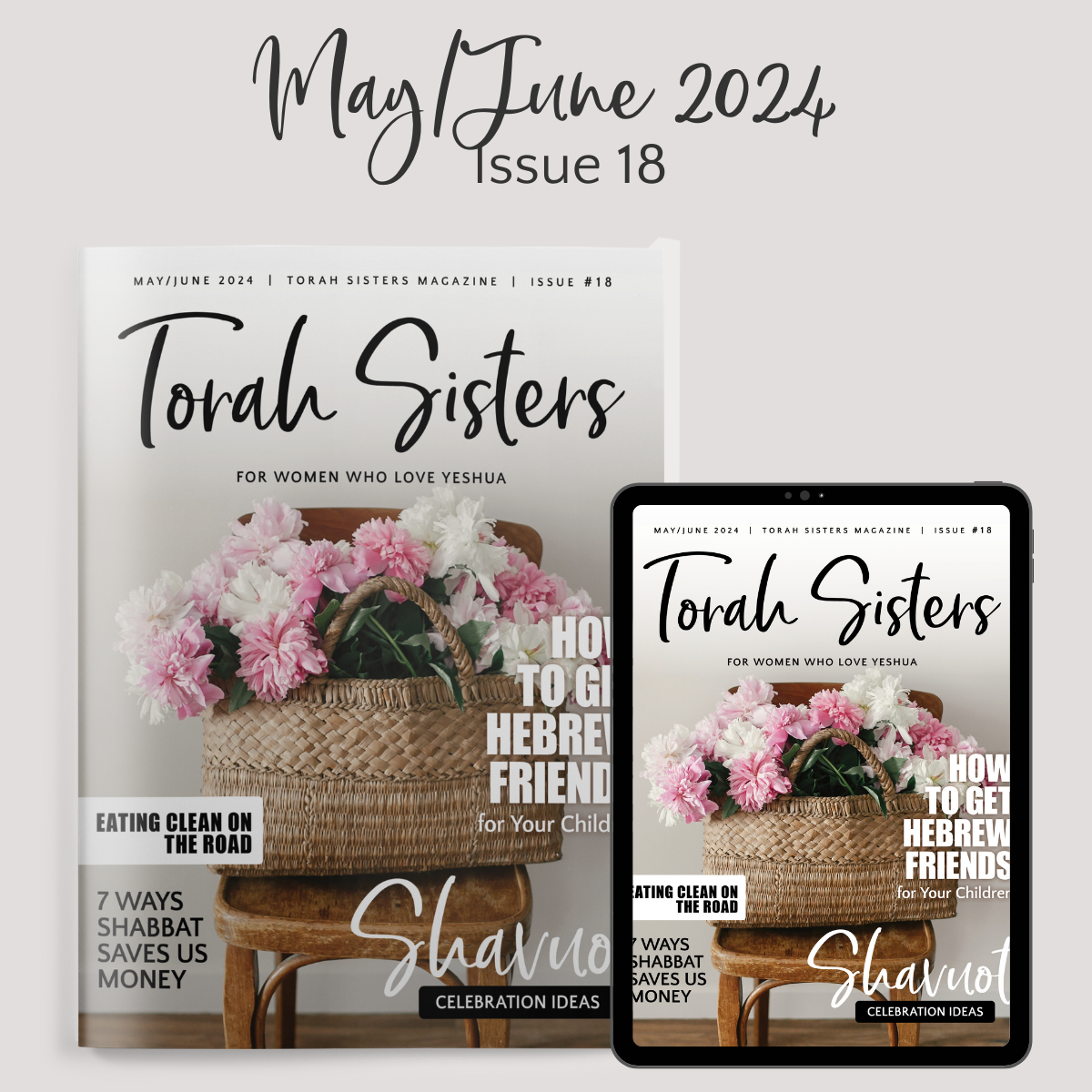 May/June 2024 Issue #18 Torah Sisters Magazine