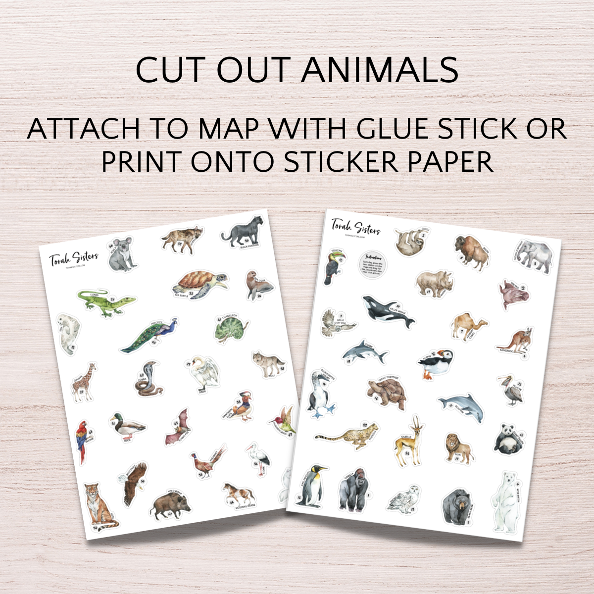 Counting the Omer Animals 2025
