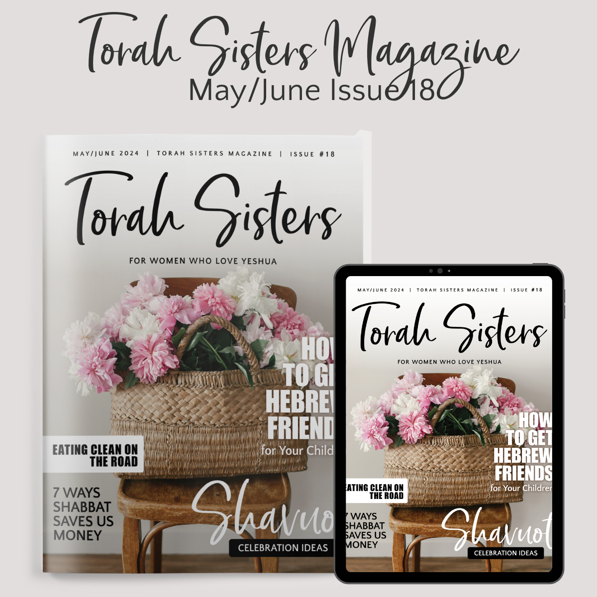 May/June 2024 Issue #18 Torah Sisters Magazine
