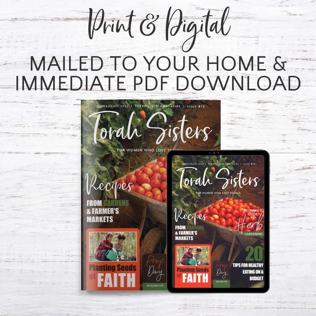 July/August #13 Torah Sisters Magazine