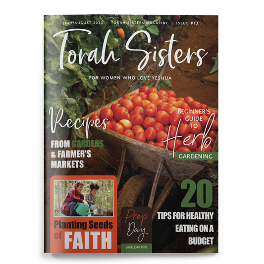 July/August #13 Torah Sisters Magazine