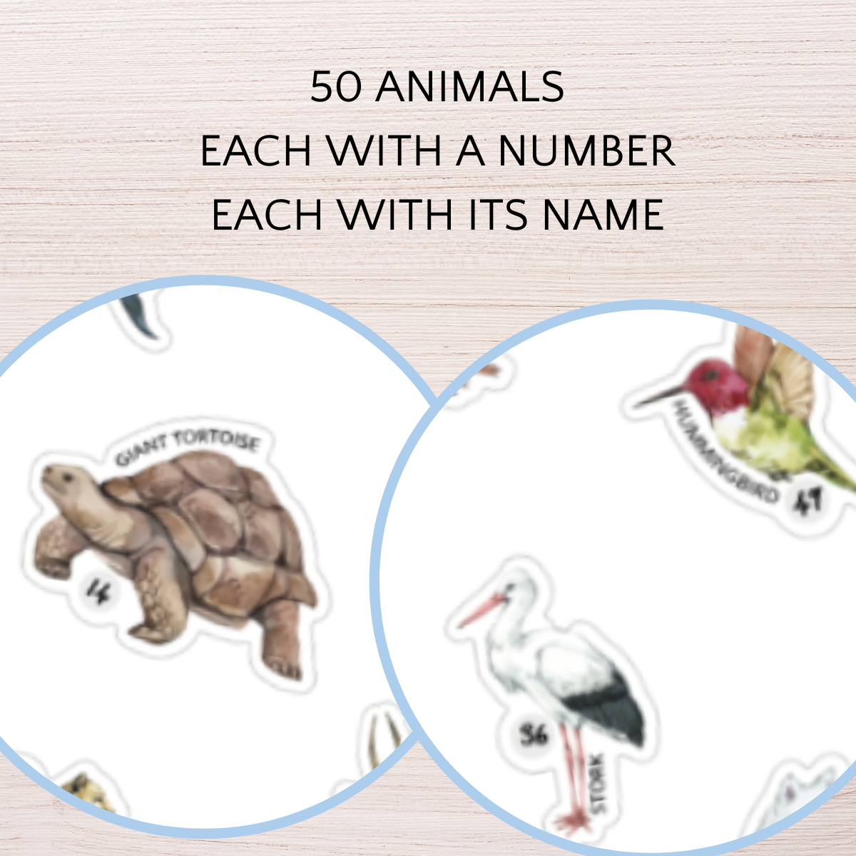 Counting the Omer Animals 2025