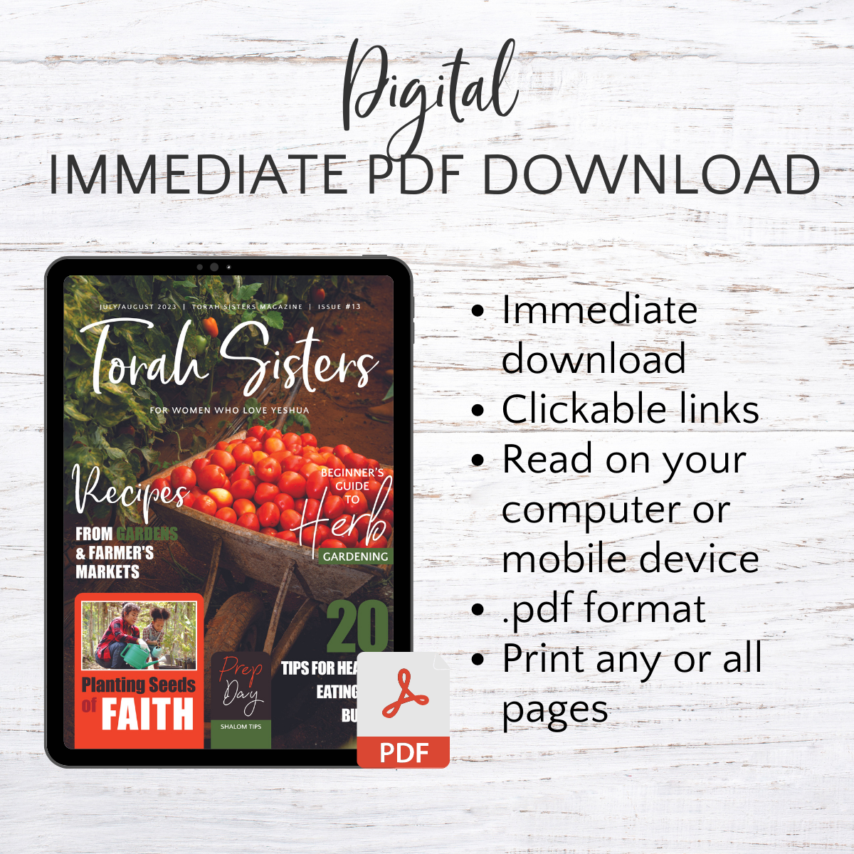 July/August #13 Torah Sisters Magazine