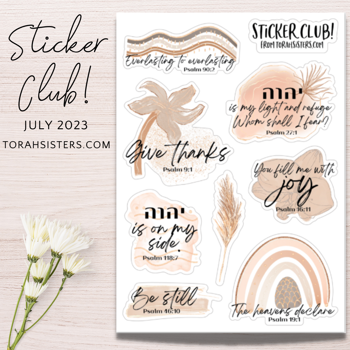 Sticker Club