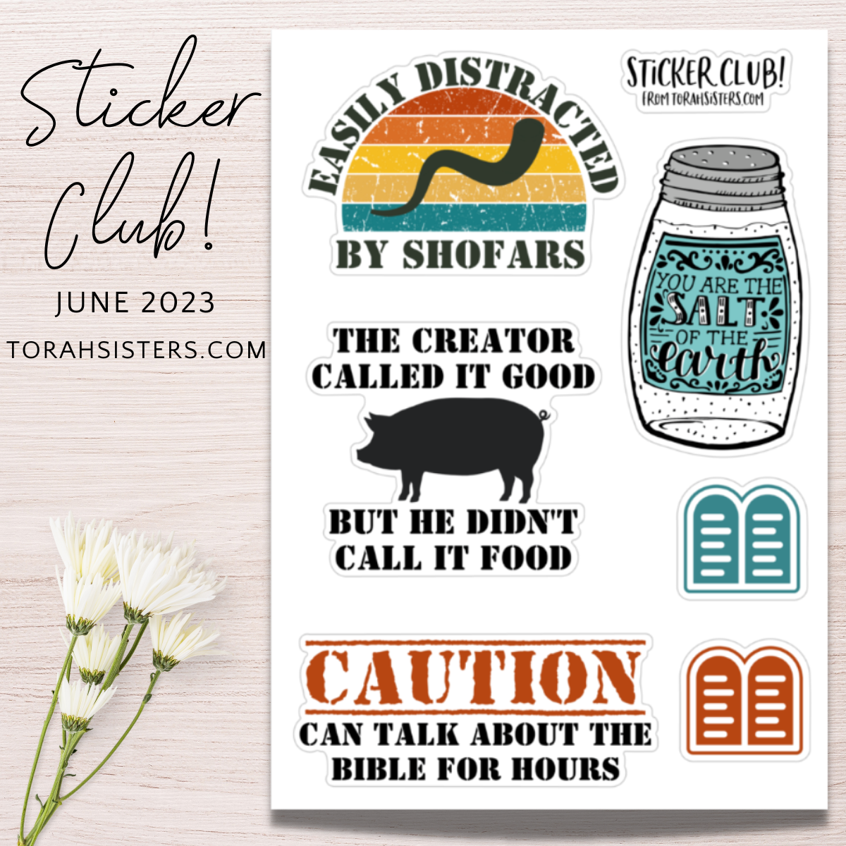 Sticker Club