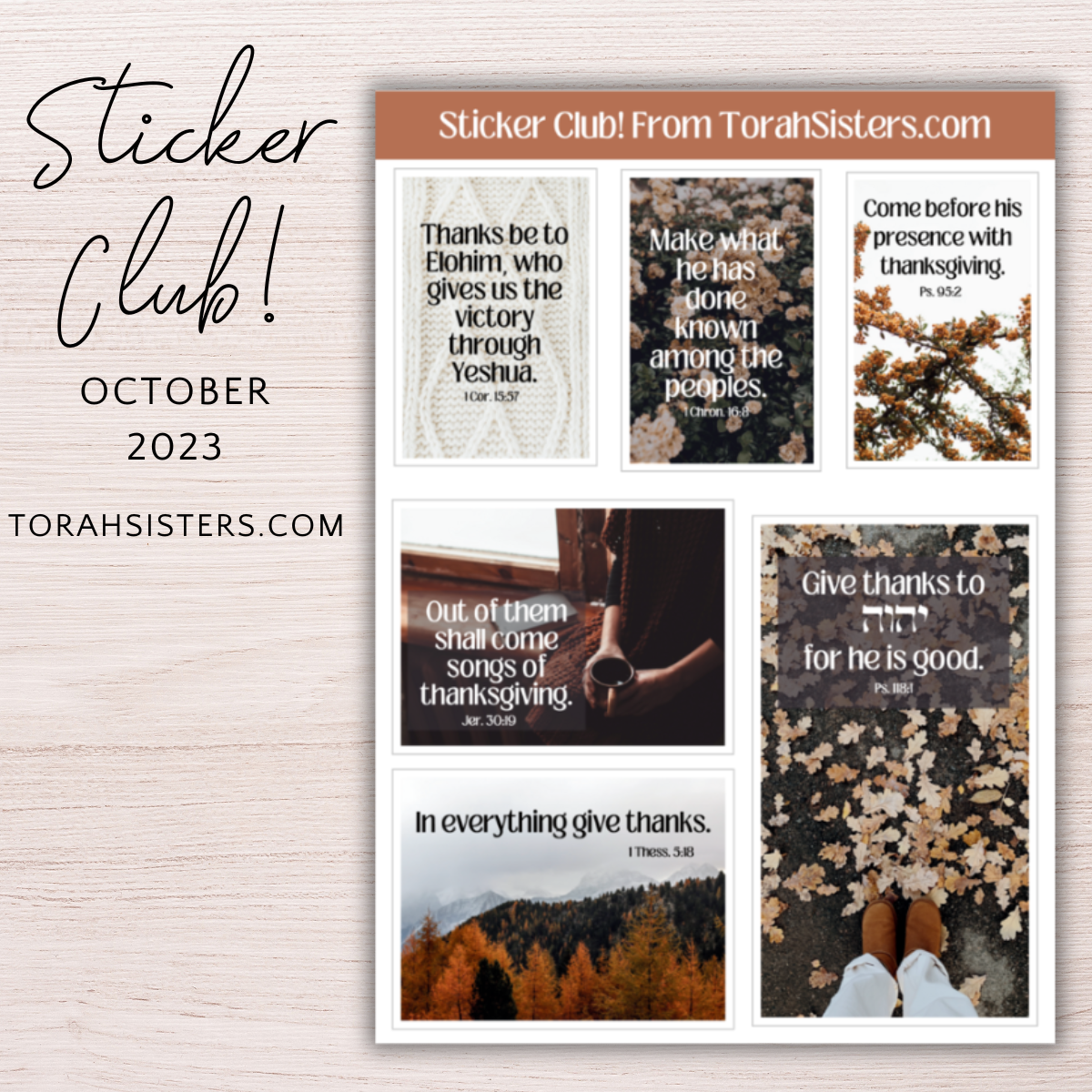 Sticker Club