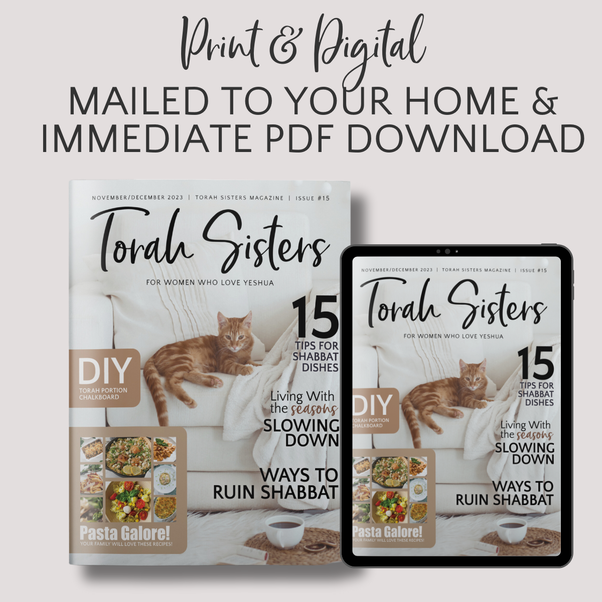 November/December 2023 #15 Torah Sisters Magazine