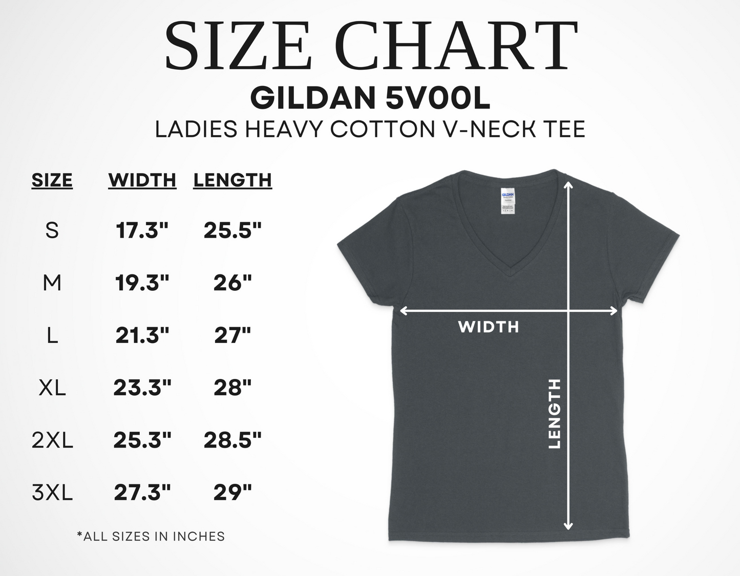 Torah Sisters Ladies' V-Neck T-Shirt