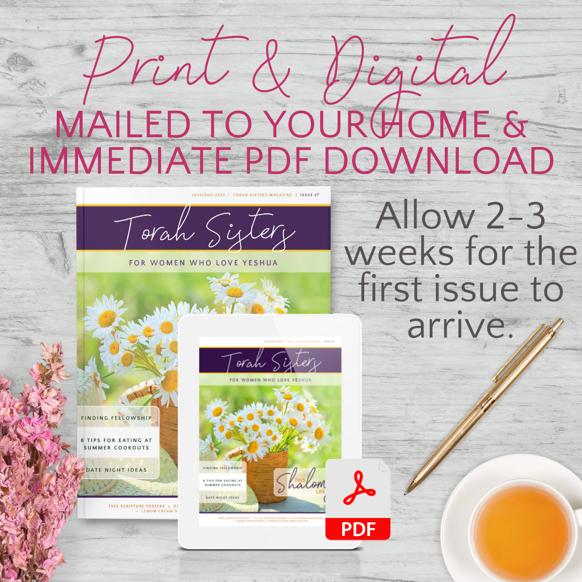 July August 2022 #7 Torah Sisters Magazine