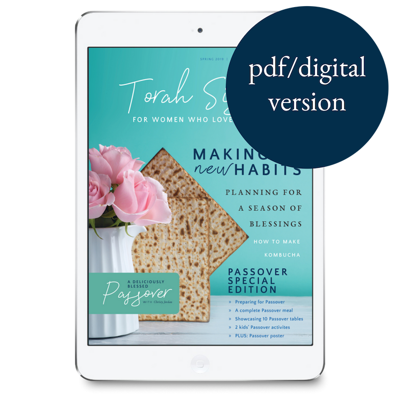 Torah Sisters Magazine Subscription