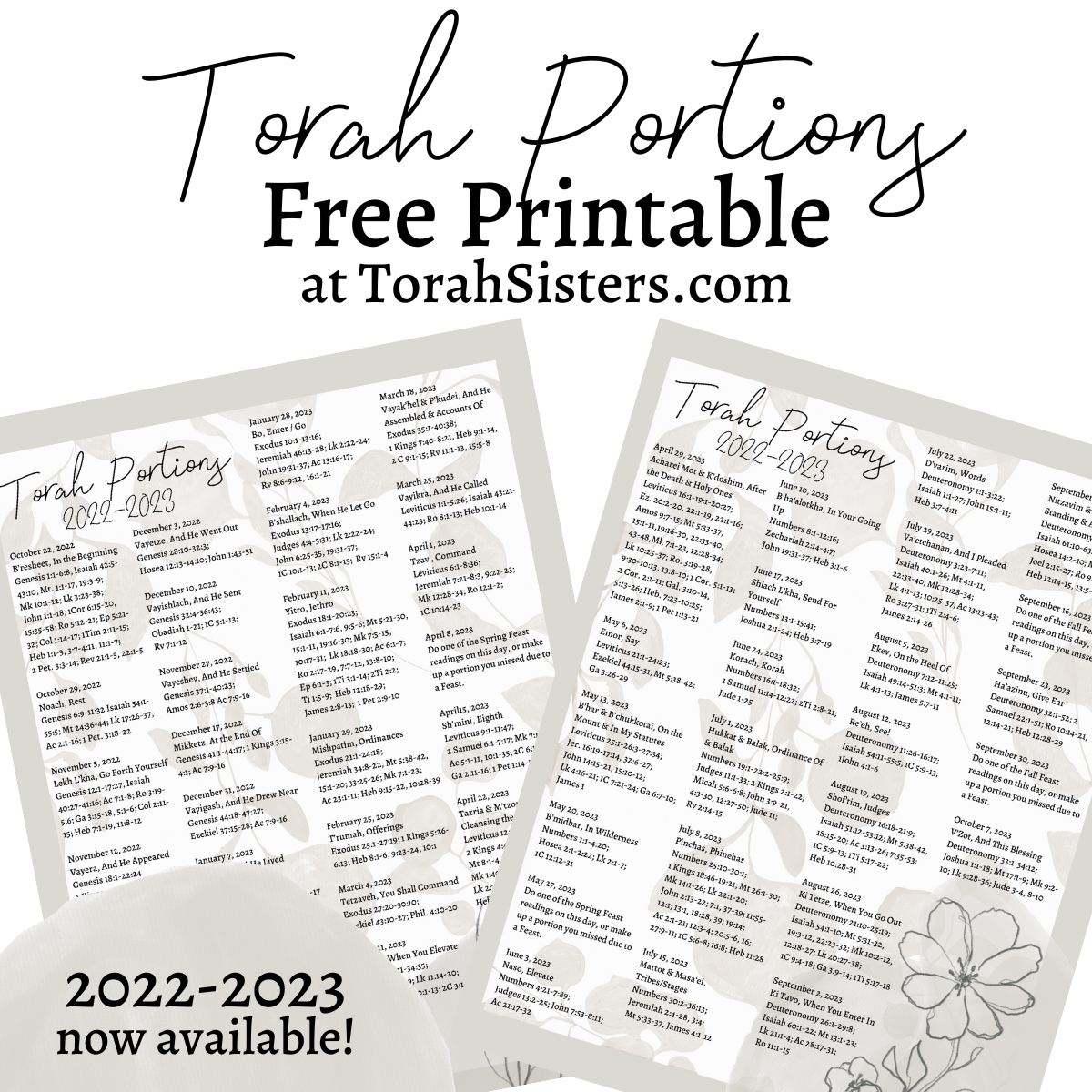 Torah Portions Torah Sisters torah-portions-torah-sisters