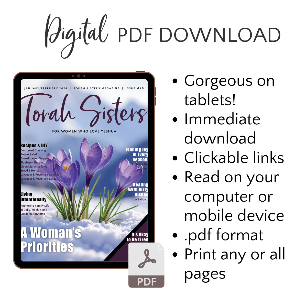 January/February 2026 Issue #28 Torah Sisters Magazine