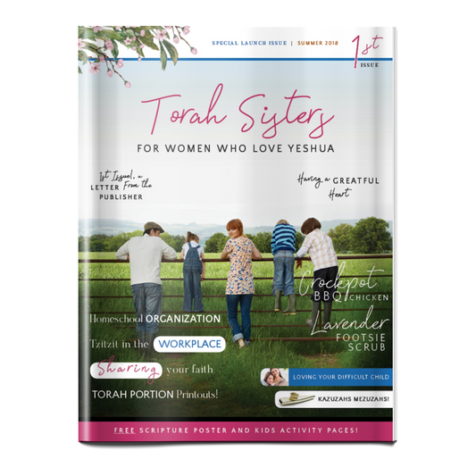 Summer 2018 pdf Digital Issue of Torah Sisters Magazine