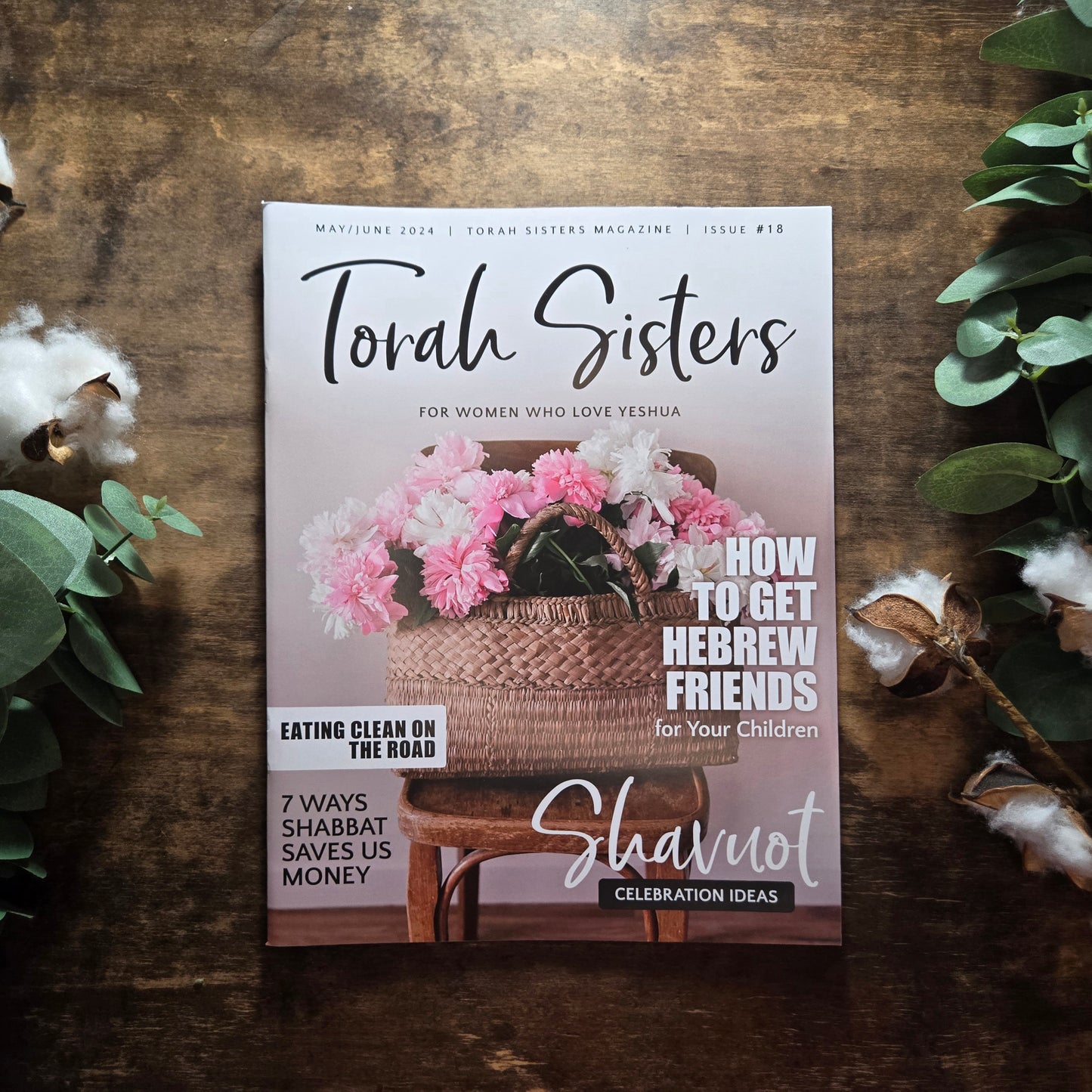 May/June 2024 Issue #18 Torah Sisters Magazine