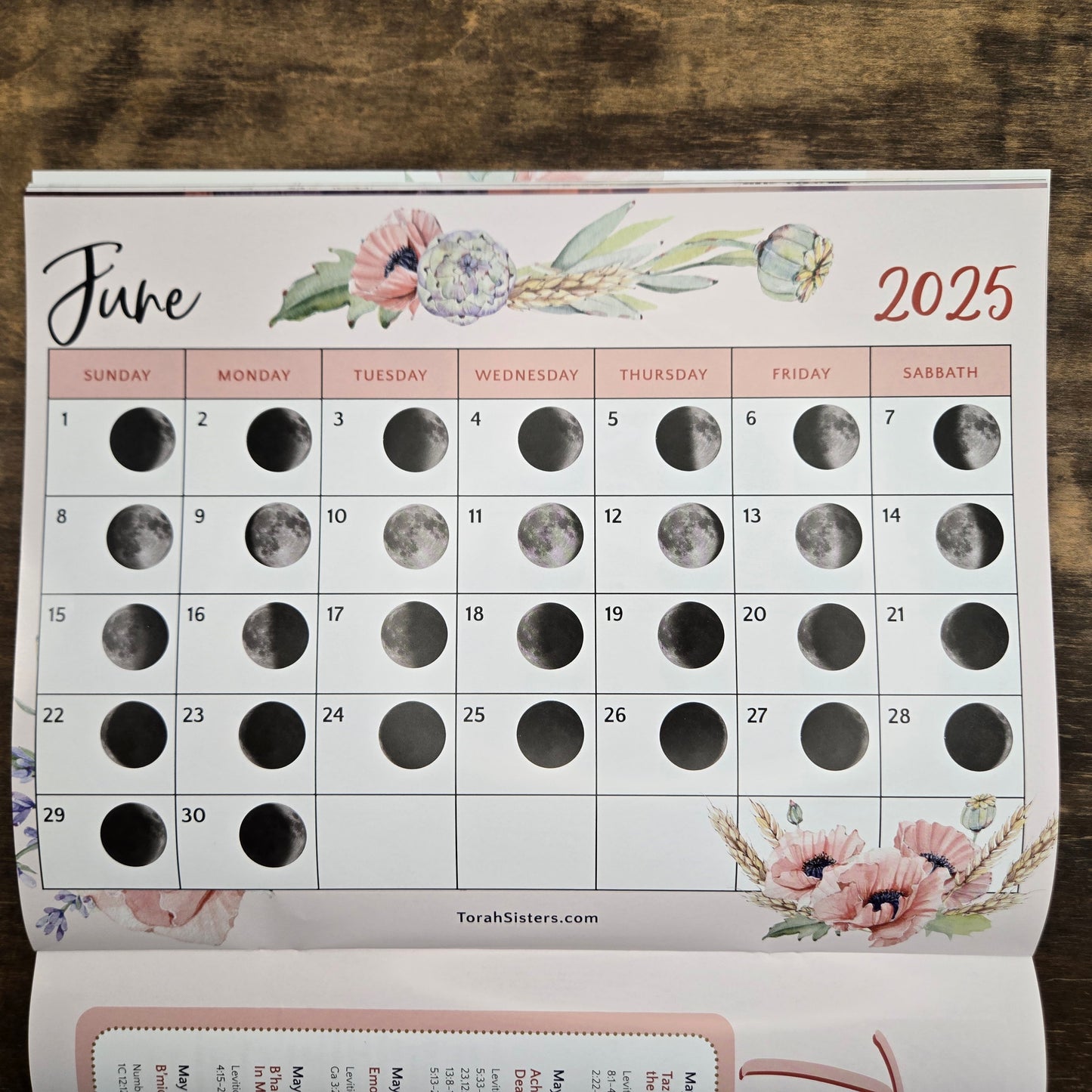 May/June 2025 Issue #24 Torah Sisters Magazine
