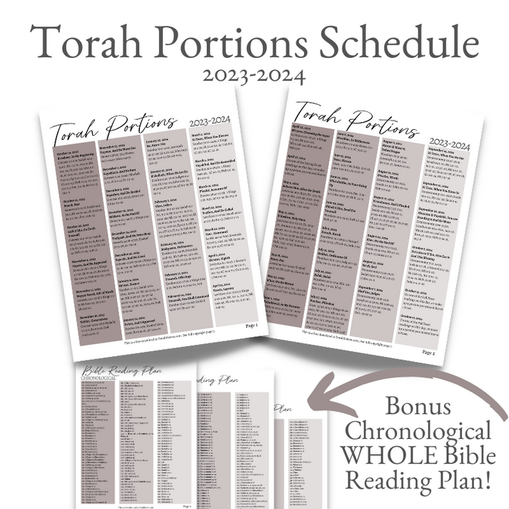 Torah Portions 20232024 Torah Sisters