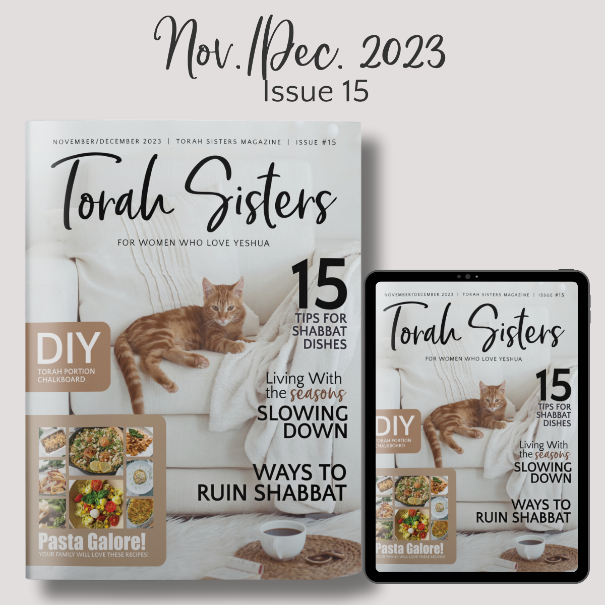 November/December 2023 #15 Torah Sisters Magazine
