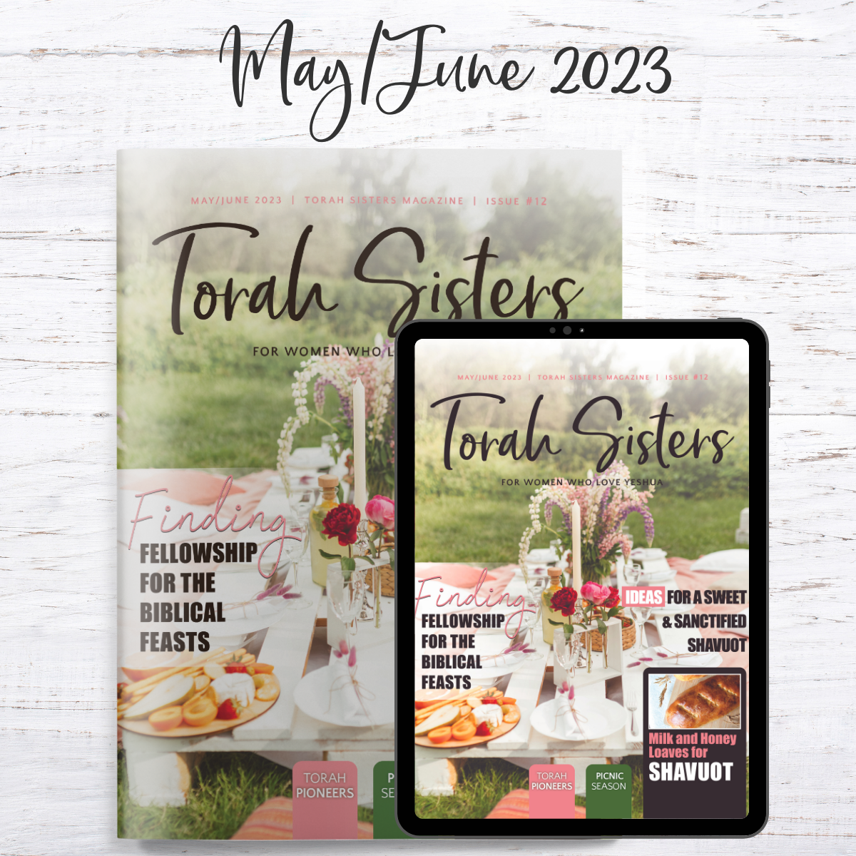 May/June 2023 #12 Torah Sisters Magazine