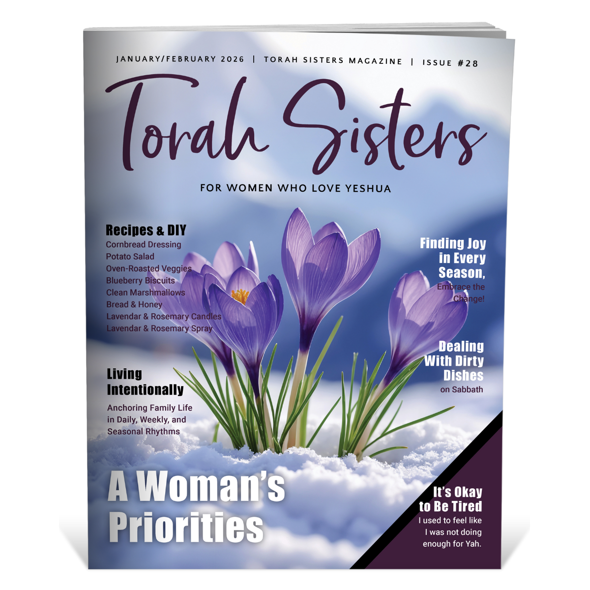 January/February 2026 Issue #28 Torah Sisters Magazine