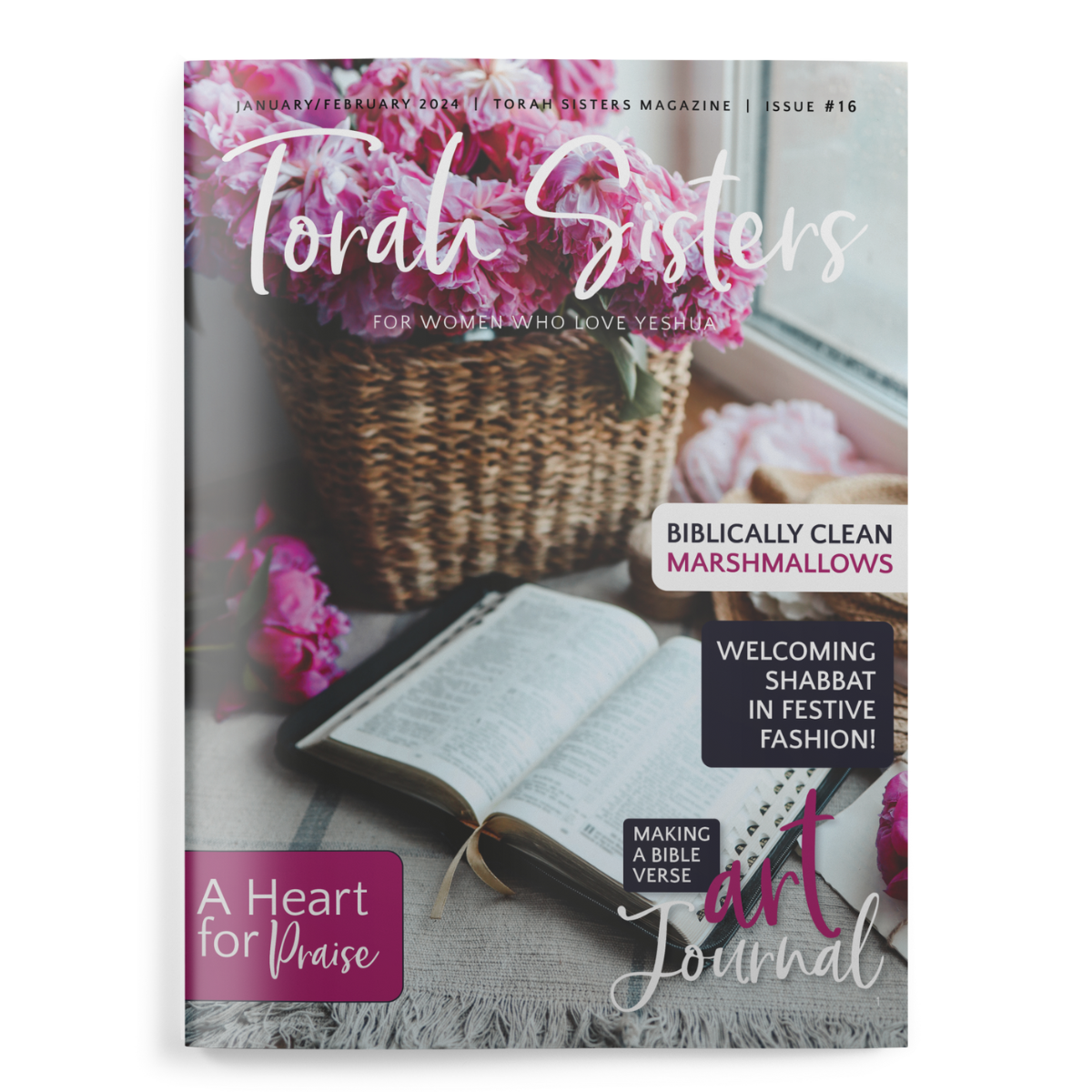 January/February 2024 Issue #16 Torah Sisters Magazine