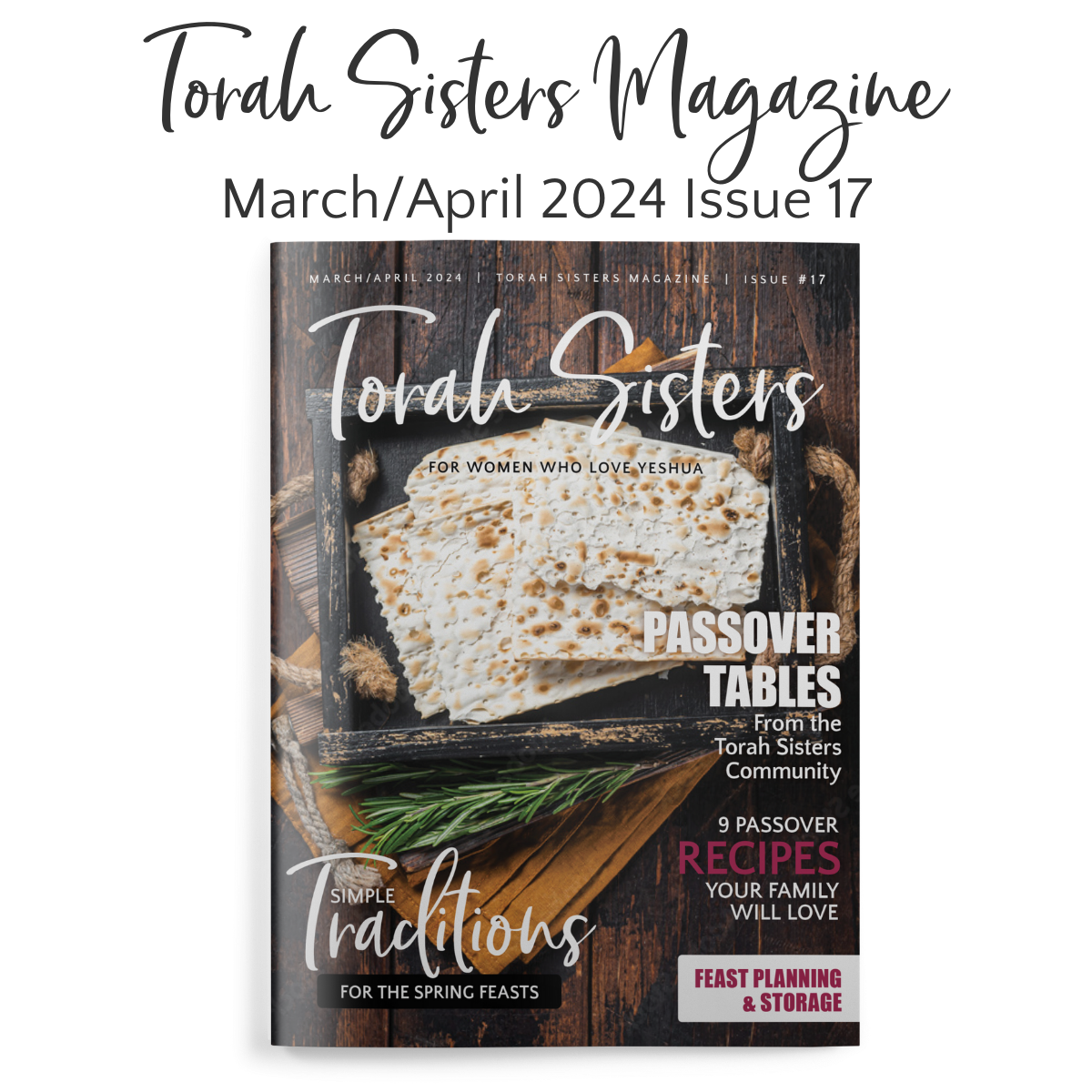 March/April 2024 Issue #17 Torah Sisters Magazine