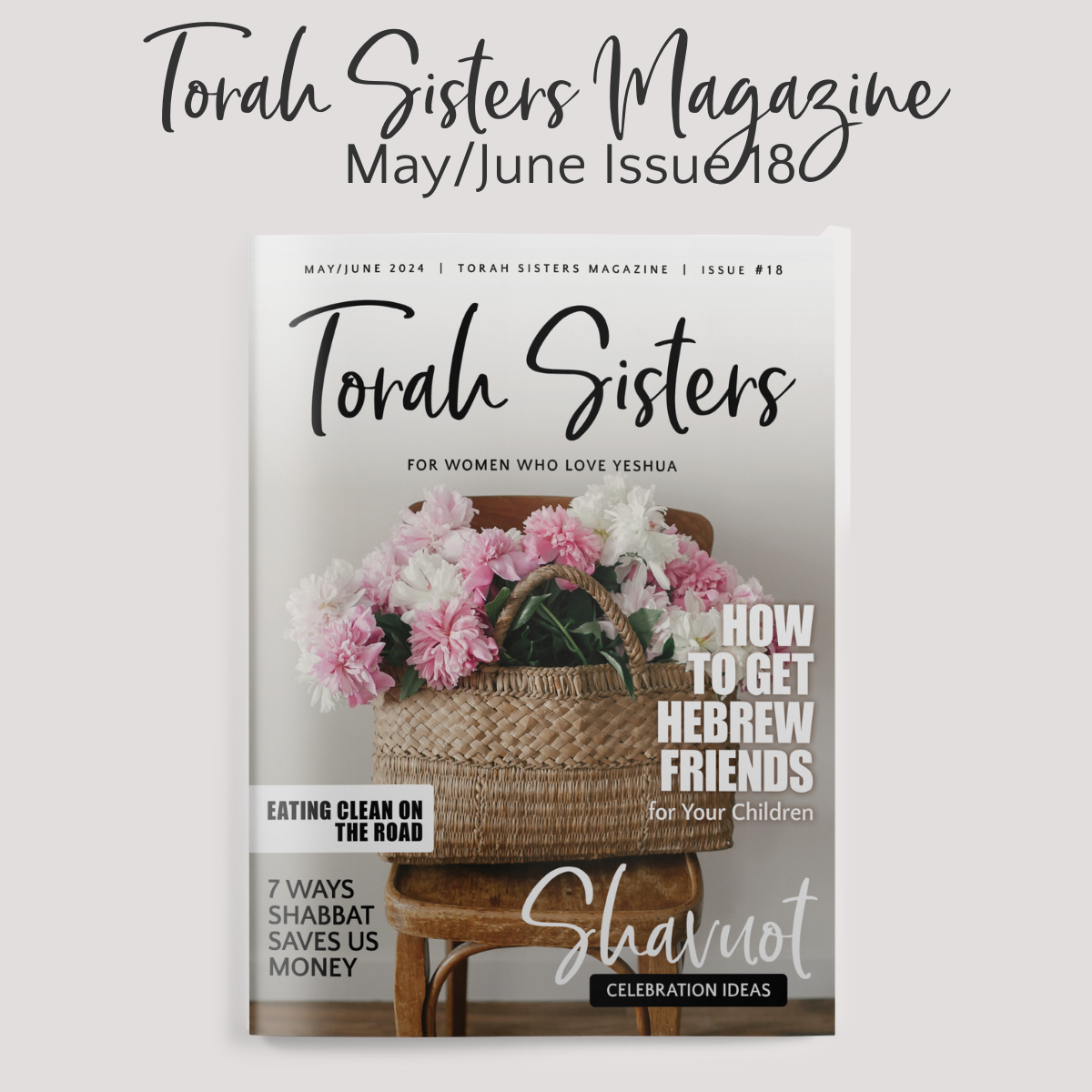 May/June 2024 Issue #18 Torah Sisters Magazine