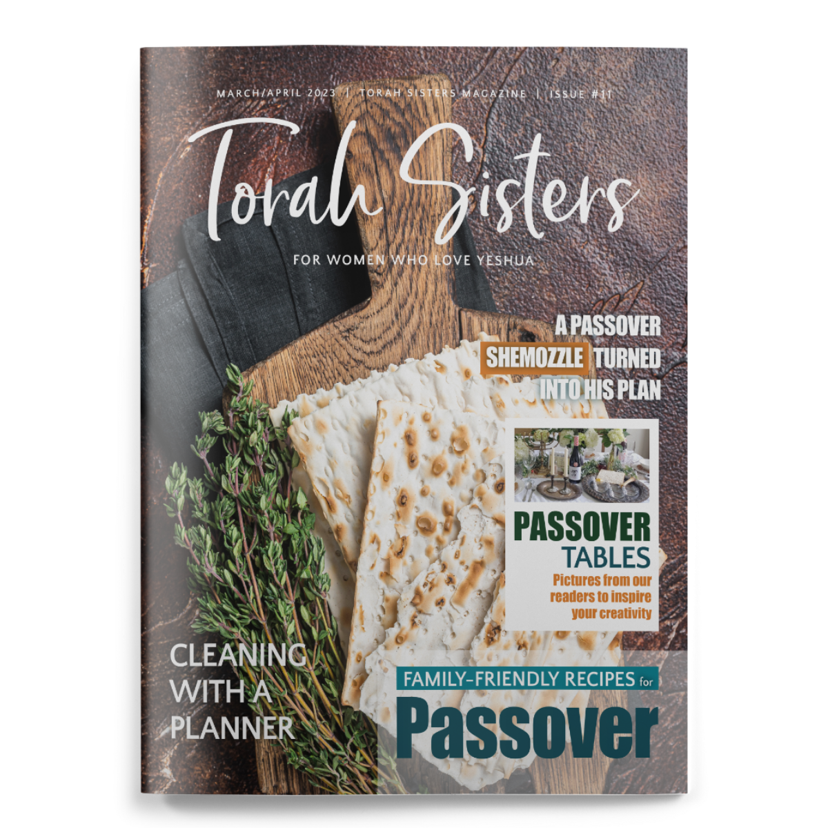 March/April 2023 #11 Torah Sisters Magazine