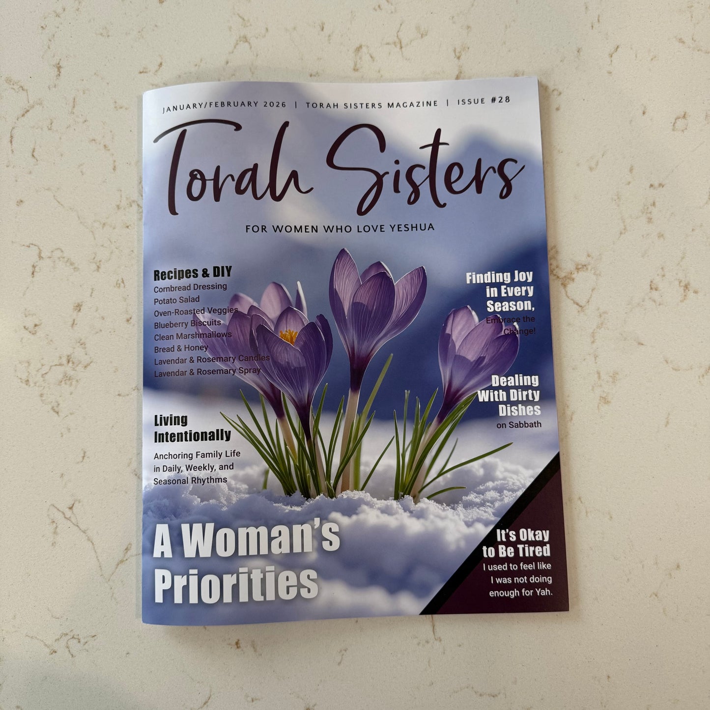January/February 2026 Issue #28 Torah Sisters Magazine