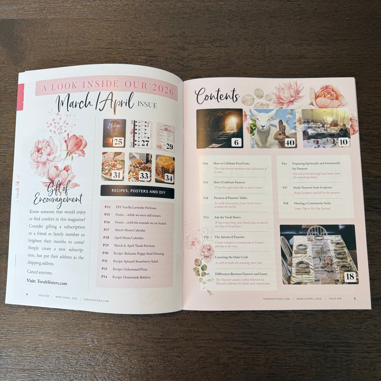 March/April 2026 Issue #29 Torah Sisters Magazine