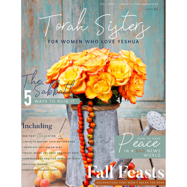 Fall 2018 Issue  #2 Torah Sisters Magazine